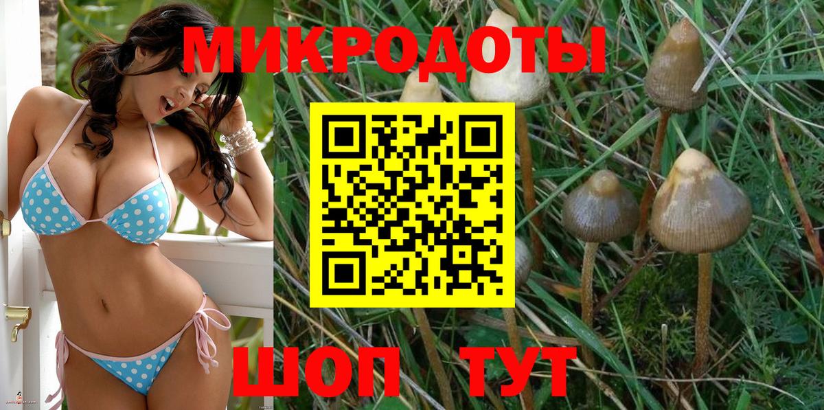 Псилоцибиновые грибы GOLDEN TEACHER Тула