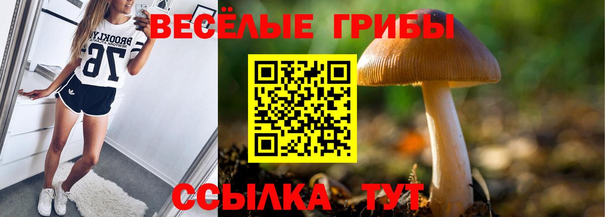 Тула  Галлюциногенные грибы GOLDEN TEACHER  Вход с VPN 